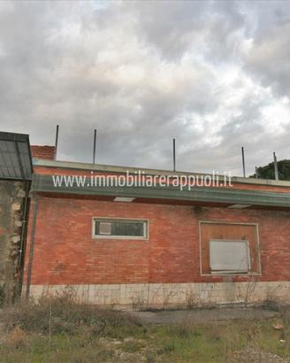 CC105 - Torrita capannone allo stato grezz