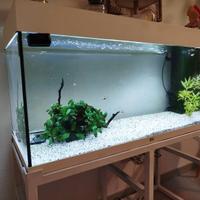 ACQUARIO - RIO 180 LED