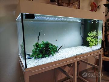 ACQUARIO - RIO 180 LED