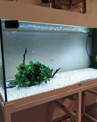 ACQUARIO - RIO 180 LED