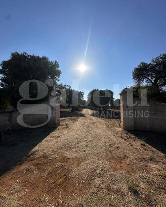 Terreno Agricolo Ostuni [Cod. rif 3331405VCG]