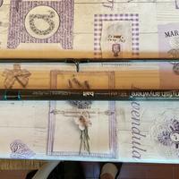 Canne da surf Anyfish anyware