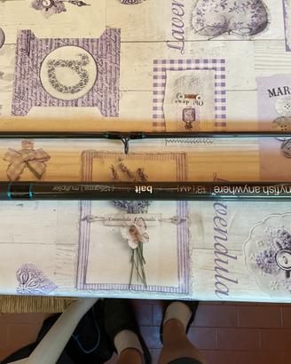 Canne da surf Anyfish anyware