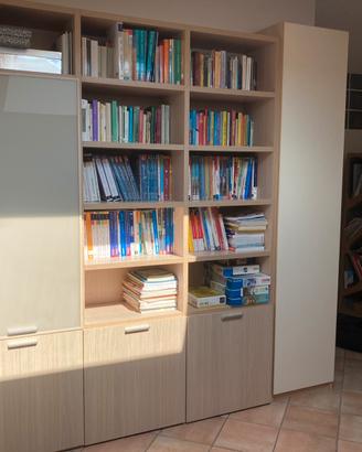 Libreria con ripiani ed ante