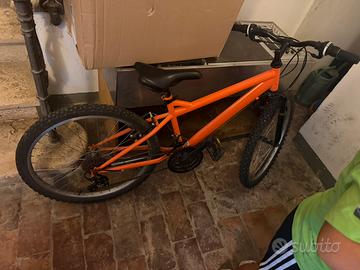 bicicletta usata