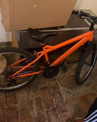 bicicletta usata