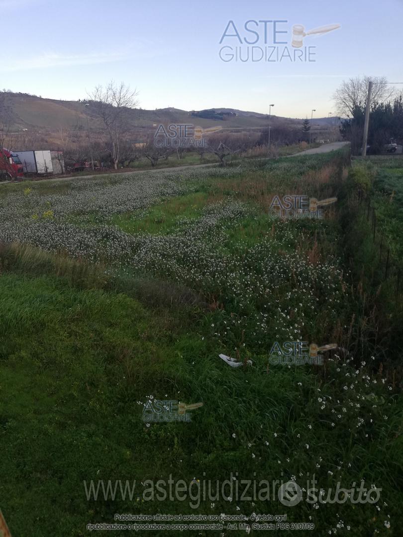 Terreno Agricolo Tocco da Casauria [A4276815] - Vista 4