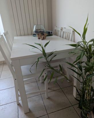 Tavolo Ikea allungabile con 4 sedie