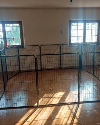 recinto per cani