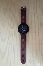 Garmin 245
