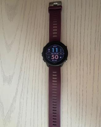 Garmin 245
