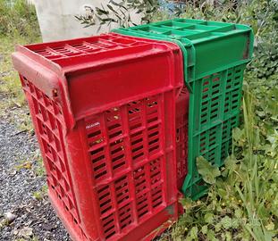 rigide Casse 20 kg per olive e agrumi