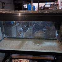 acquario da 200 litri