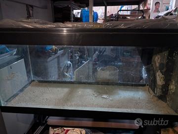 acquario da 200 litri