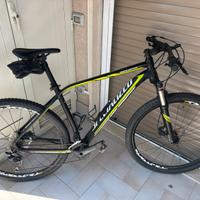 Bicicletta MTB Specialized Rockhopper 29