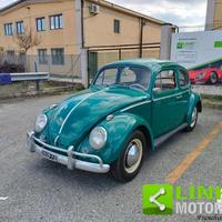 VOLKSWAGEN Maggiolino 6 VOLT