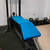leg press / hack squat/ ercolina