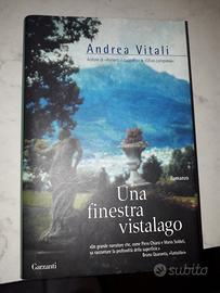 Libro Una finestra vista lago 