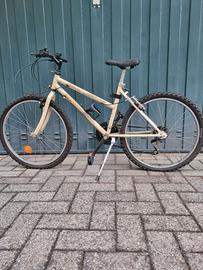 Bicicletta Da Ragazzo Gatto