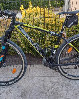 MTB 29"
