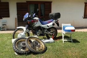 Honda dominator 650 NX