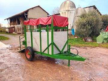 Trasporto bestiame biga