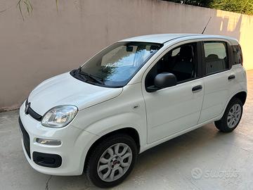 Fiat Panda 312