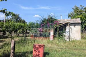 Terreno Agricolo - Calatabiano