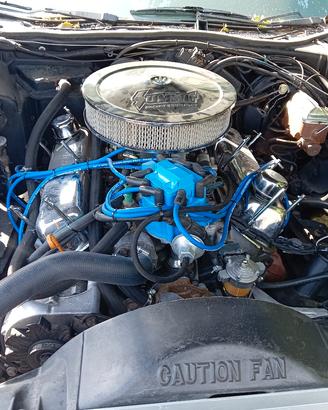 Ford thunderbird  v8