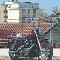 Harley davidson dyna wide glide