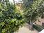 Immagine 11