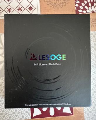 Chiavetta USB Lesoge