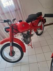 Motom 48cc del 1965