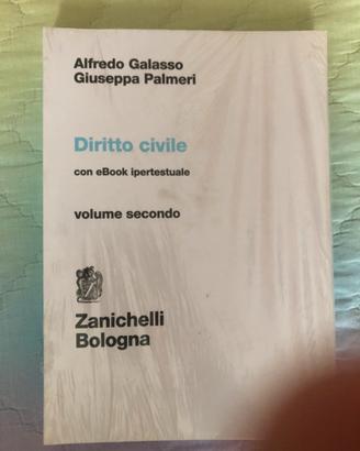Diritto Civile, Galasso - Palmeri, volume 2