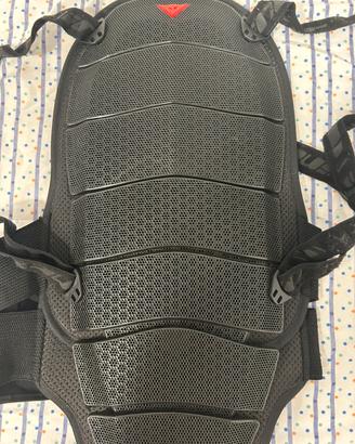 para schiena dainese