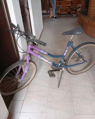 mountain-bike