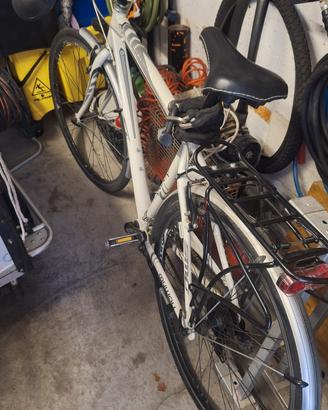 bici uomo 28