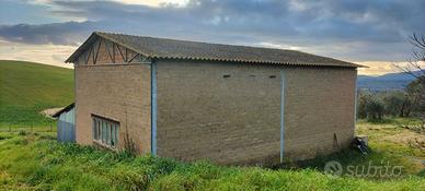 Capannone possibile passaggio. civile abitazione