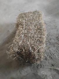 Erba medica in balle