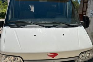 Camper Fiat