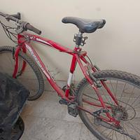 impolverata ma PERFETTA