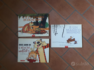 3 volumi di fumetti CALVIN AND HOBBES