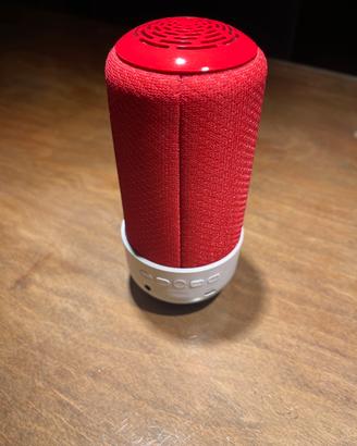 Cassa Bluetooth Pantone
