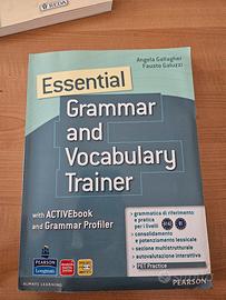 Essential: Grammar and Vocabulary Trainer