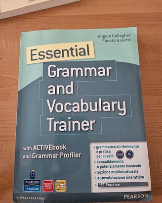 Essential: Grammar and Vocabulary Trainer