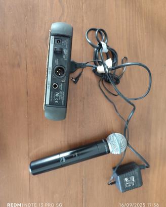 Radiomicrofono Shure PGX4 beta 58