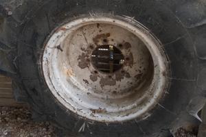 pneumatico e cerchio 