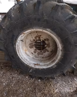 pneumatico e cerchio 