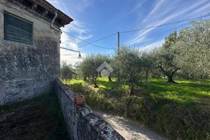 CASA INDIPENDENTE A CAPANNORI