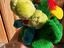 Immagine 2